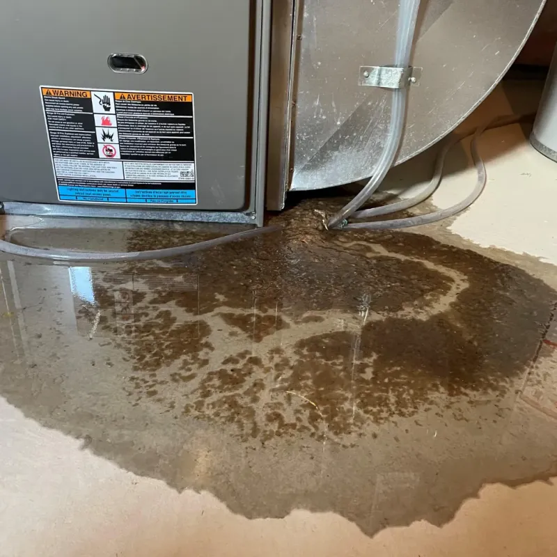 Appliance Leak Cleanup in Edinboro, PA