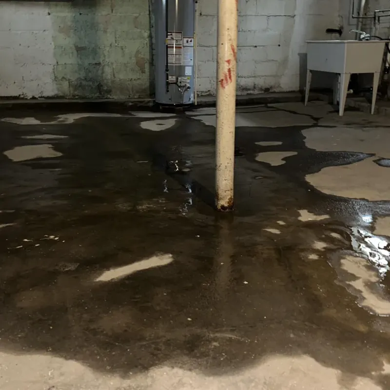 Emergency Water Extraction And Removal in Edinboro, PA